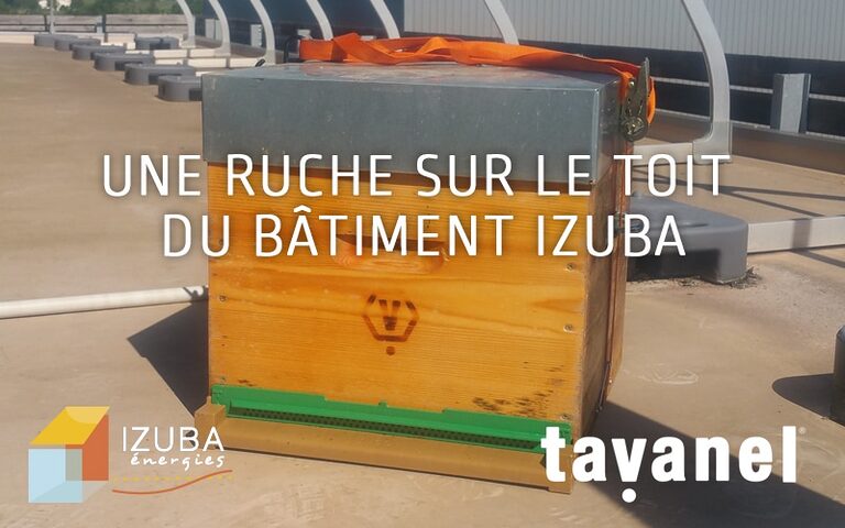 annonce tavanel 02