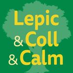 lepi coll calm moa references etudes energetiques izuba