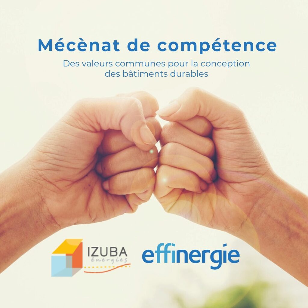 mecenat de compétence